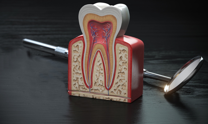 dental insurance verification in the USA